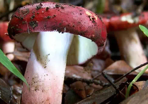 圖片關(guān)鍵詞 圖片關(guān)鍵詞