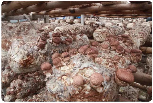 圖片關鍵詞 圖片關鍵詞