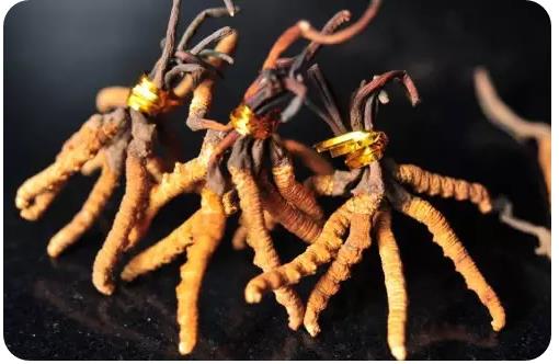 圖片關鍵詞 圖片關鍵詞