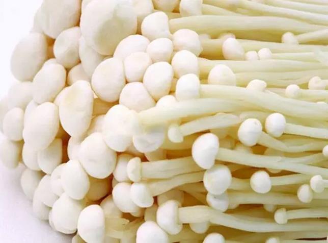 圖片關鍵詞 圖片關鍵詞