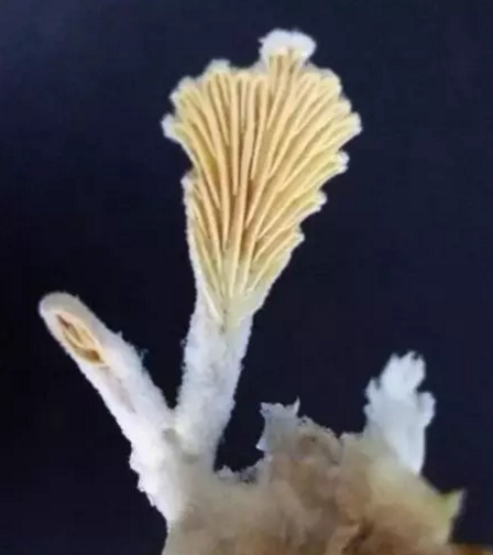 圖片關鍵詞 圖片關鍵詞