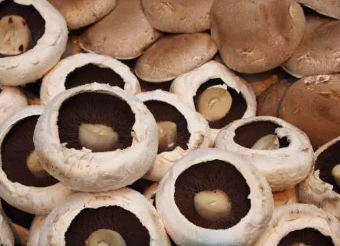 圖片關(guān)鍵詞 http://www.efhza.cn/ewebeditor/uploadfile/20170914091257506001.png