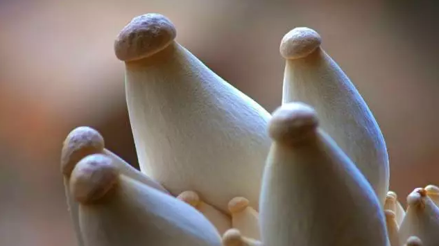 圖片關(guān)鍵詞 http://www.efhza.cn/ewebeditor/uploadfile/20170914091357269001.png