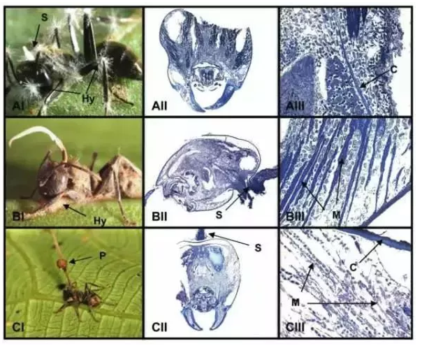 圖片關鍵詞 圖片關鍵詞