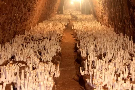 圖片關鍵詞 圖片關鍵詞