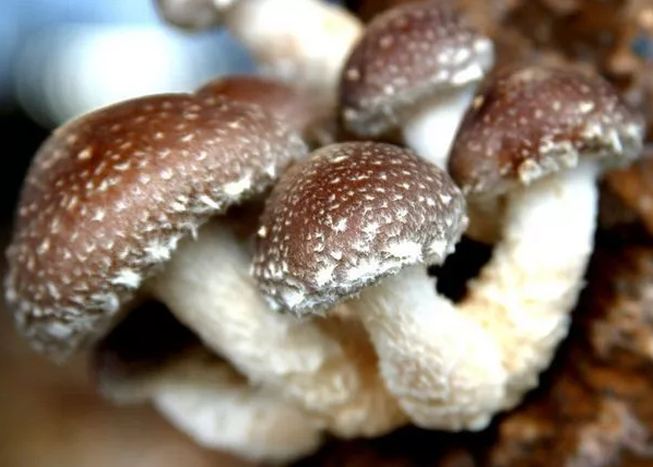 圖片關鍵詞 圖片關鍵詞