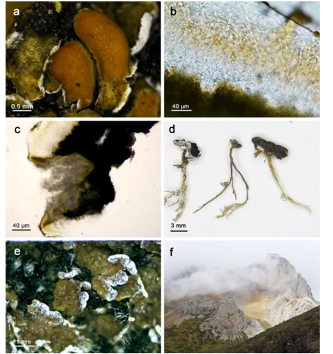 圖片關鍵詞 圖片關鍵詞