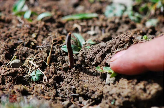 圖片關鍵詞 http://www.efhza.cn/ewebeditor/uploadfile/20180921101313325001.png