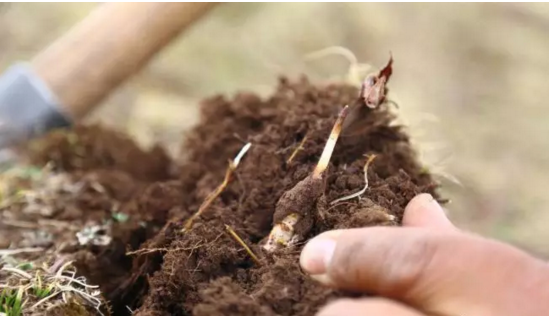 圖片關鍵詞 http://www.efhza.cn/ewebeditor/uploadfile/20180921101228689001.png