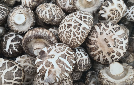 圖片關(guān)鍵詞 圖片關(guān)鍵詞