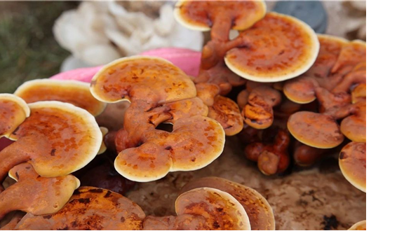 圖片關鍵詞 圖片關鍵詞