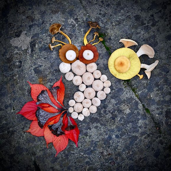 圖片關鍵詞 http://img2.jiemian.com/jiemian/original/20171123/151141537349945600_a580xH.jpg