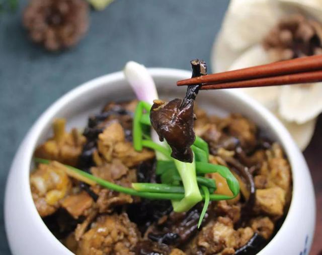 國家蘑菇地理：中國哪里的蘑菇最好吃？