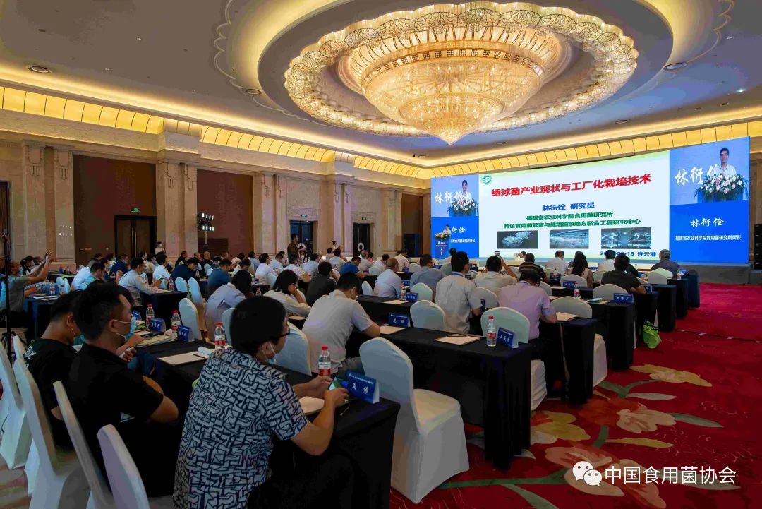 圖片關鍵詞 https://mmbiz.qpic.cn/mmbiz_jpg/qmUUOFzKOyRYEBXKnSHMvP5v7LsM30EktBicwPIl4cpW3biadZDIV9fbnqNGZFRaxZGH92kpJOrkpDAibz5kicHEBA/640?wx_fmt=jpeg