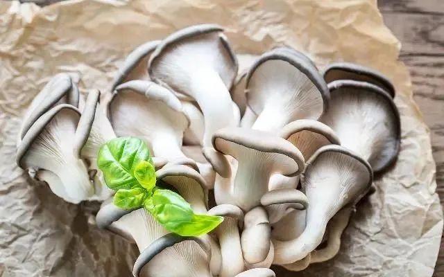 圖片關(guān)鍵詞 https://mmbiz.qpic.cn/mmbiz_jpg/EzTg6Bqtpm2iaWlVaT8kP4ytdpE4icsH2eReNKcicgPgIrsmHic9fdeH5TTIgdrHzbTLUj5SIvA5ABbPT0QueGGLAw/640?wx_fmt=jpeg