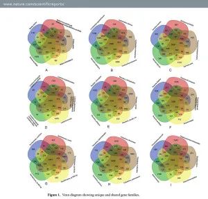 圖片關(guān)鍵詞 圖片關(guān)鍵詞