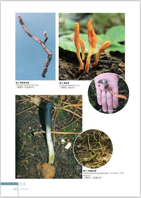 圖片關鍵詞 圖片