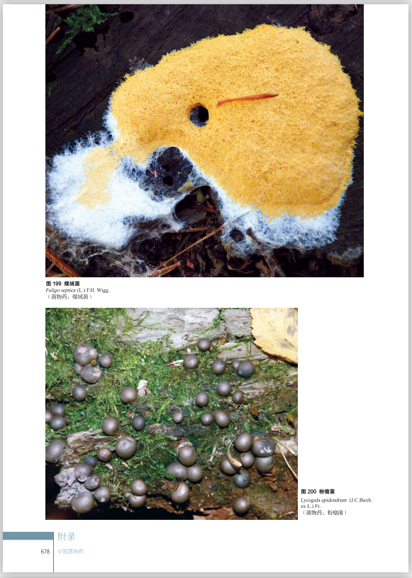 圖片關鍵詞 圖片