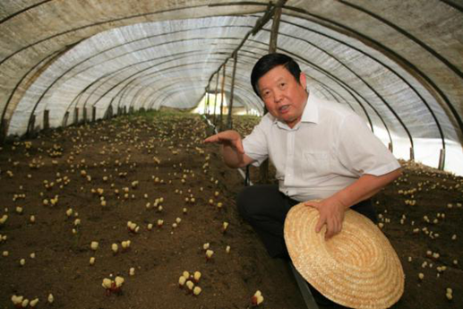 圖片關鍵詞 圖片