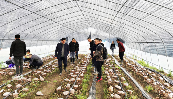 圖片關鍵詞 圖片