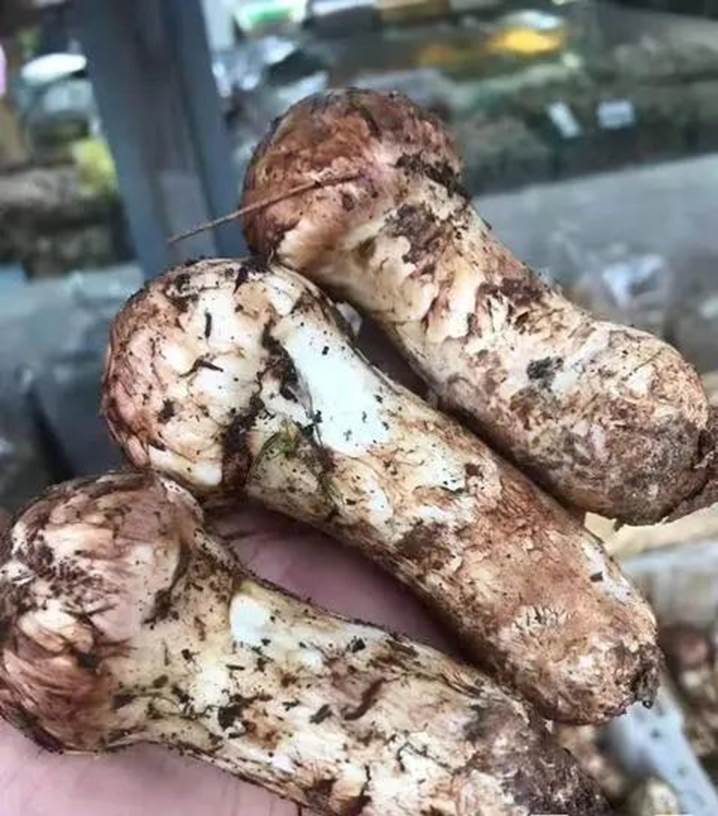 圖片關(guān)鍵詞 圖片