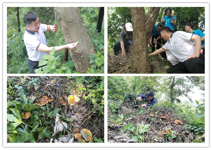 圖片關鍵詞 圖片關鍵詞