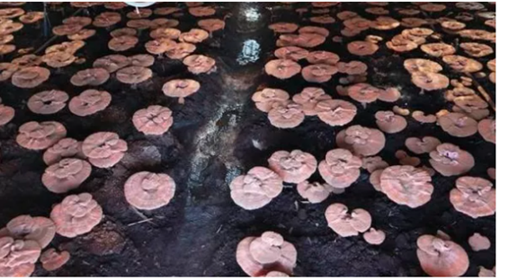 圖片關(guān)鍵詞 圖片關(guān)鍵詞