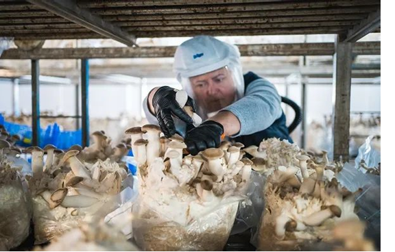 圖片關鍵詞 圖片關鍵詞