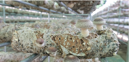 圖片關鍵詞 圖片關鍵詞