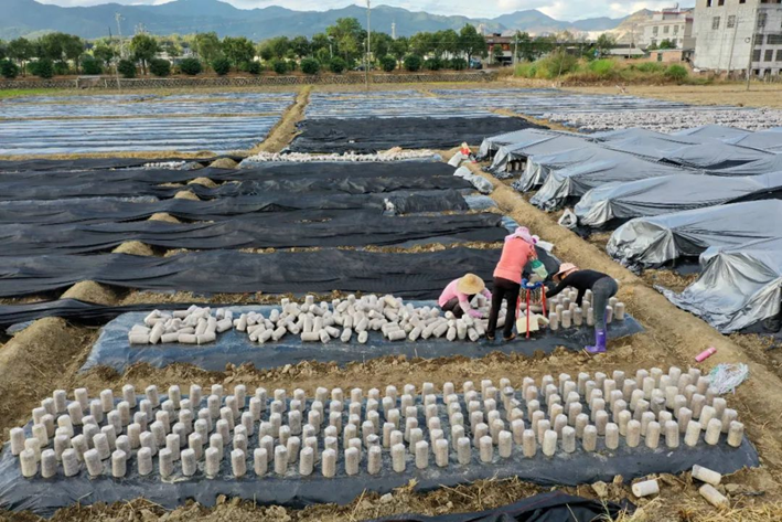 圖片關鍵詞 圖片關鍵詞