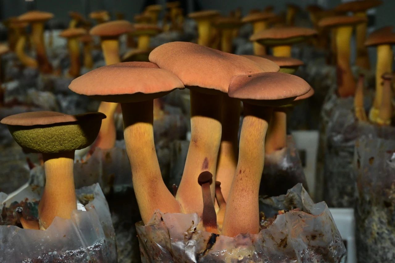 圖片關鍵詞 圖片關鍵詞