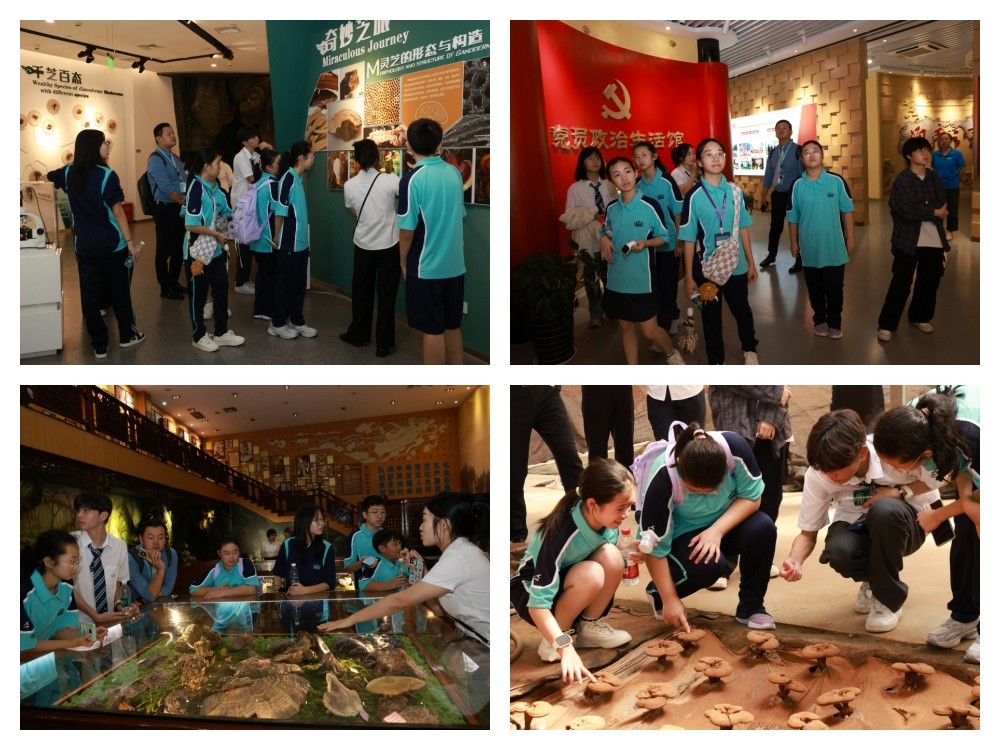 圖片關(guān)鍵詞 圖片關(guān)鍵詞